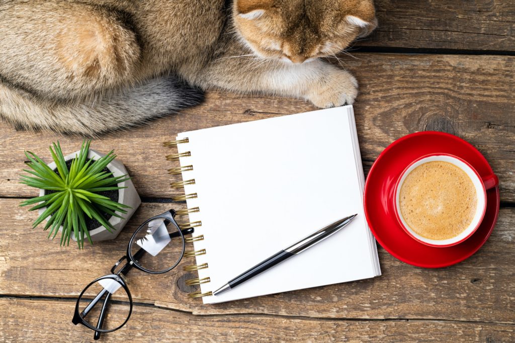 White blank notebook, coffee cup, plant, eyeglasses, cute cat on desk of home office flat lay
